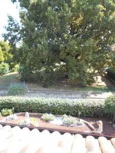 DSCN0200