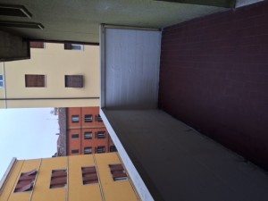 IMG_3750