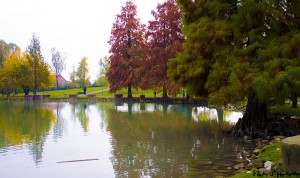 autunno-al-parco-amendola
