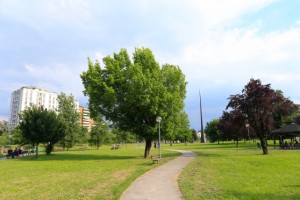 parco nelle vicinanze