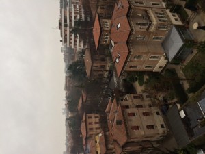 Visuale