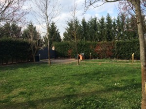 IMG_8677