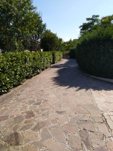 9 - giardino