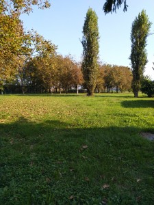 10-Vista