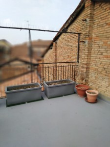 IMG-20191011-WA0015