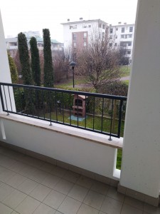 IMG-20210225-WA0006