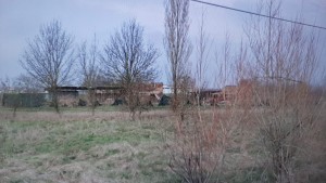 IMG-20211202-WA0045