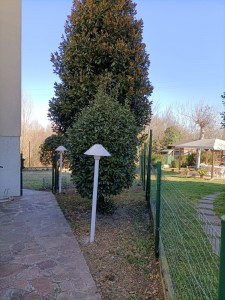 giardino