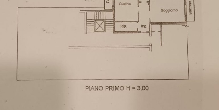 piantina