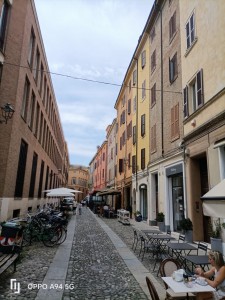Via Selmi