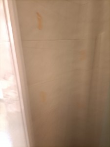IMG-20250204-WA0013