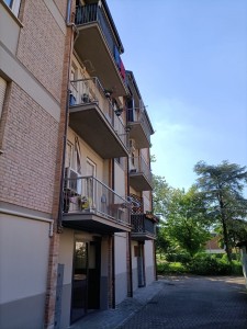 IMG-20250430-WA0199