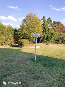15 - giardino